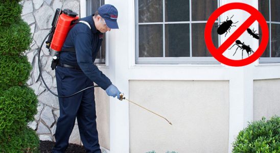 Tekman Kene İlaçlama böcek ilaçlama ve haşere kontrolü — ilaclama-tr.com